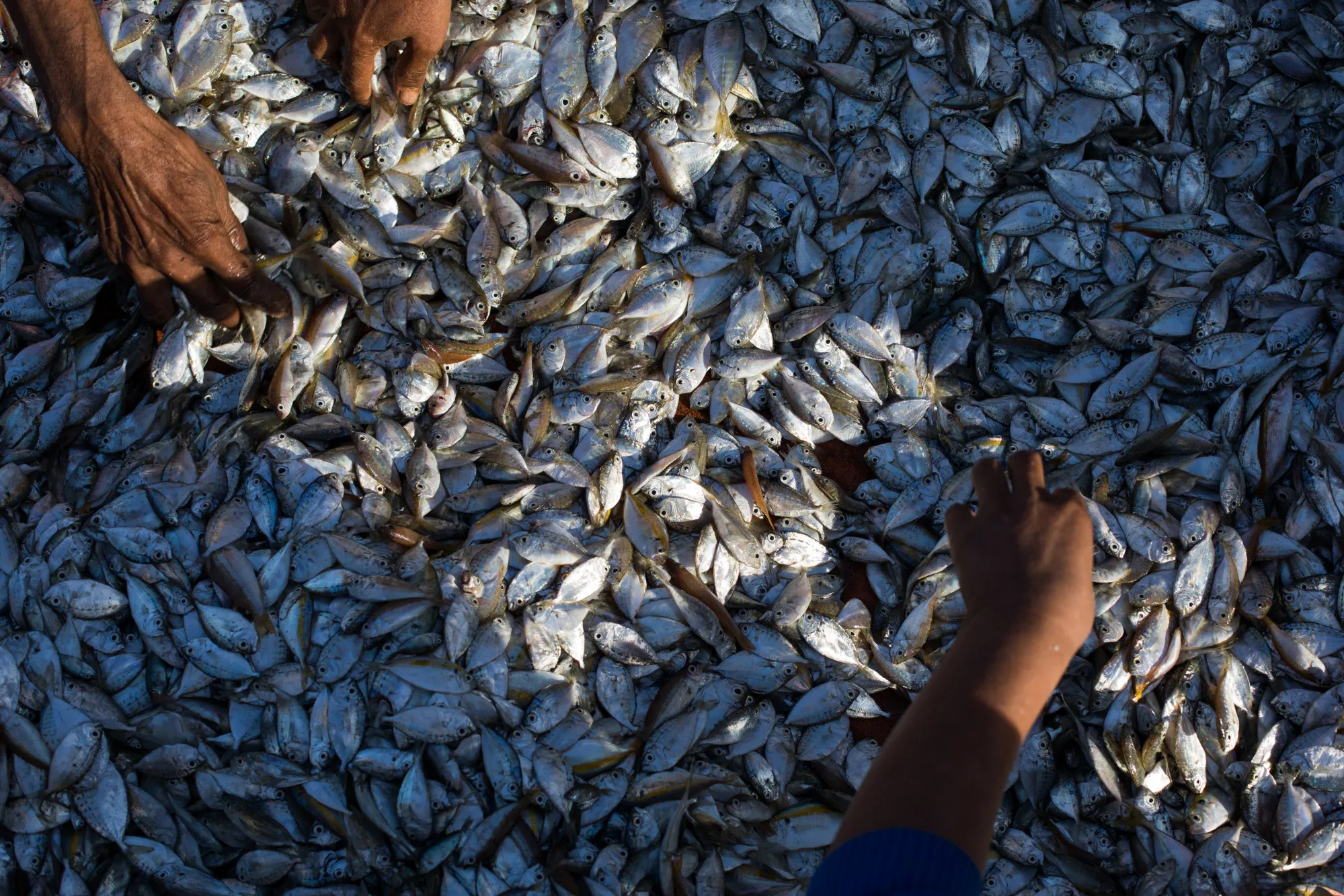 The Fishing Port That May Become a $10 Billion Chinese Debt Bomb ...