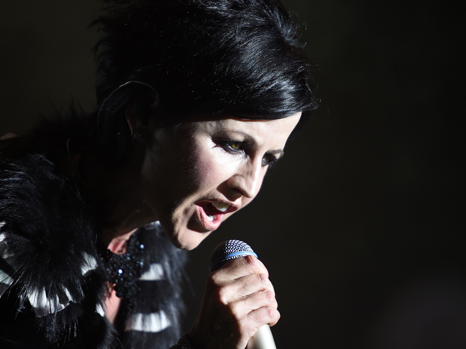 Cranberries Singer Dolores O'Riordan Died By Drowning While Drunk ...