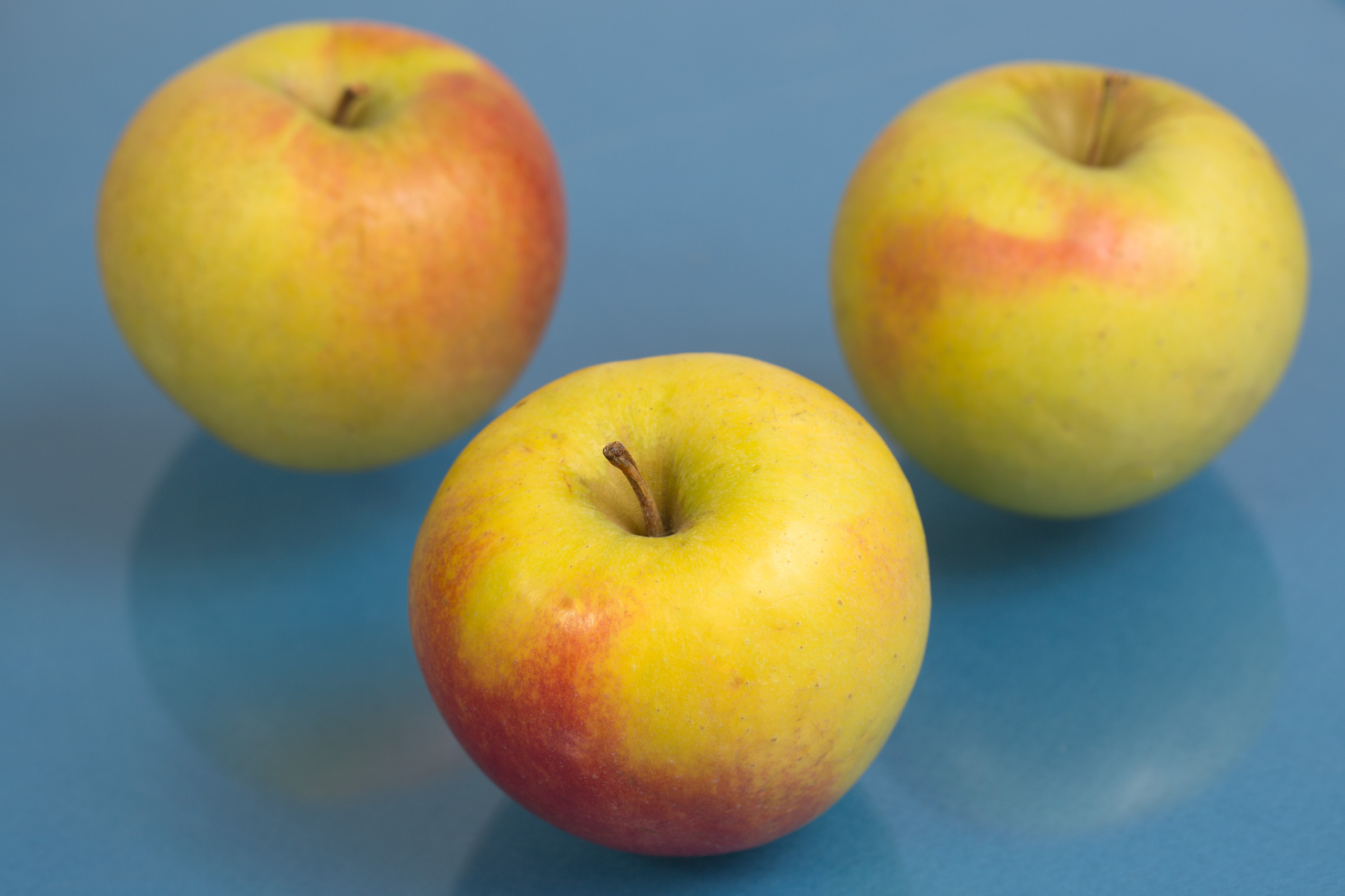 Honeycrisp apple losing its patent protection, but not its appeal