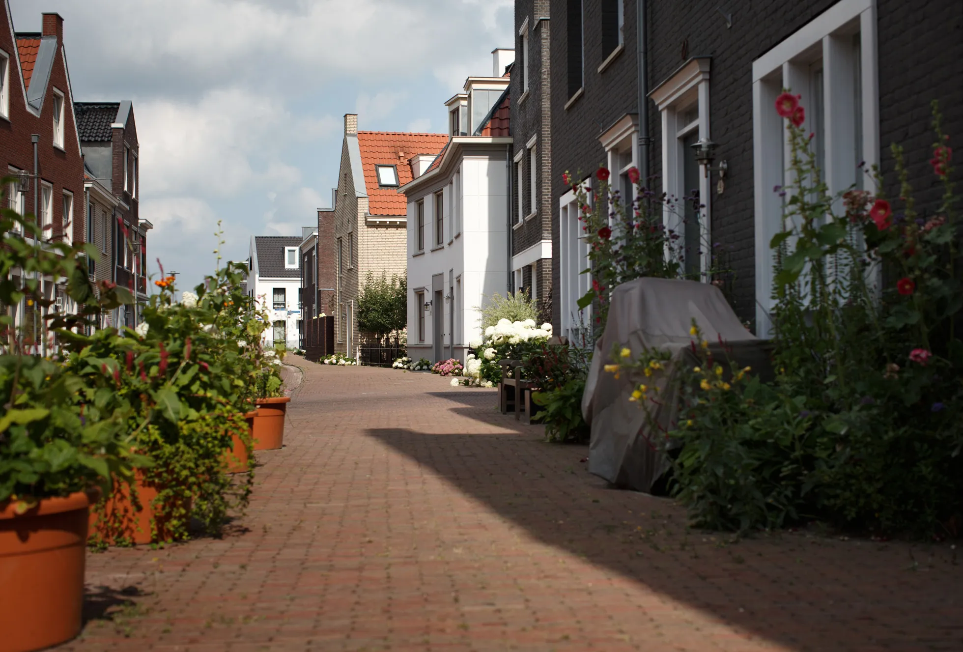 Plant pots and flowers line the street outside residential property in Maarsen, Netherlands.