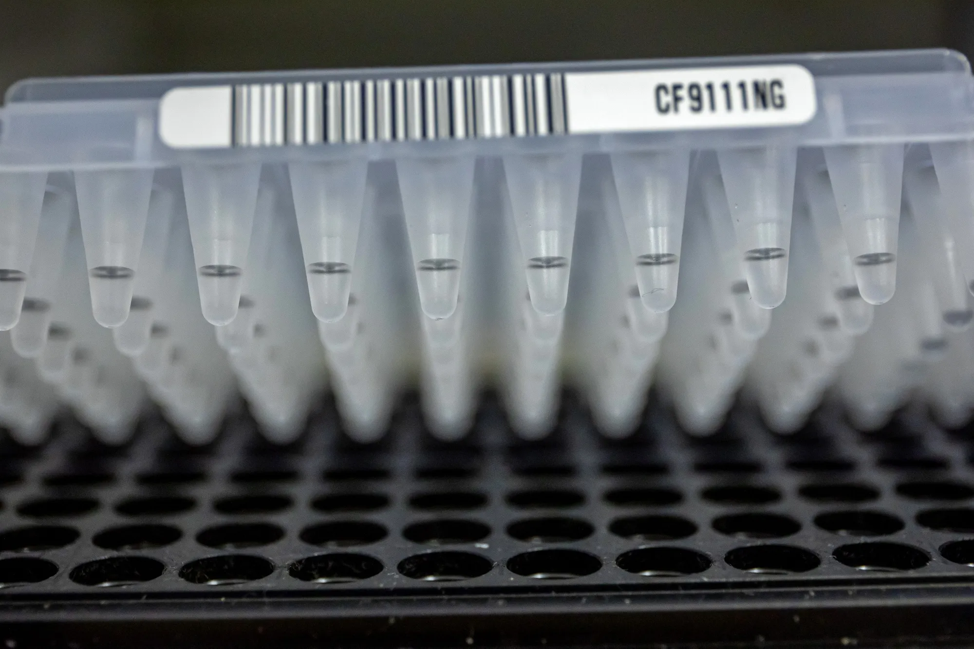 Even before Trump took office, drugmakers were moving more manufacturing to the US because of the rising threat of natural disasters, outbreaks like Covid and pending legislation that underscored the risks of far-flung supply chains.