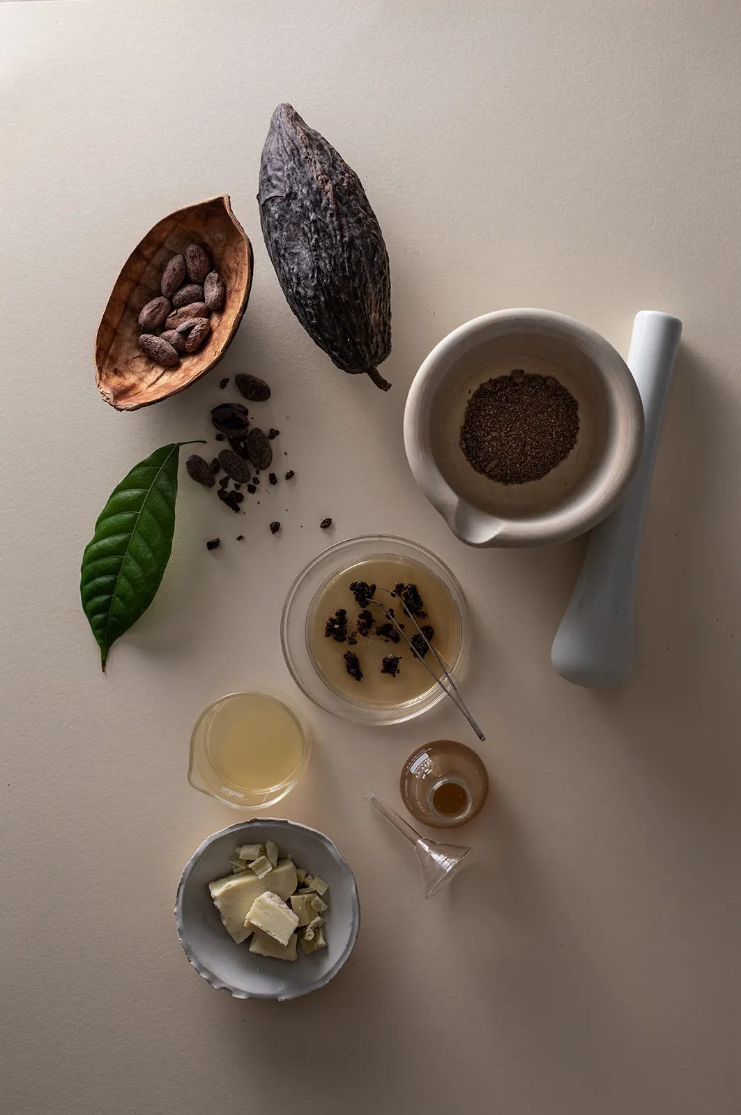 Celleste Bio harvests cocoa butter and cocoa powder from bioreactors.