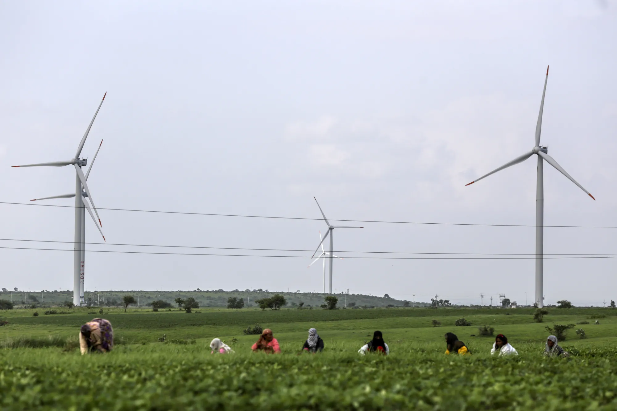 Last year’s foreign direct investment in developing countries rose by a third from 2018.