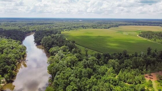A Georgia Political Dynasty Is Selling Its $26 Million Hunting Preserve