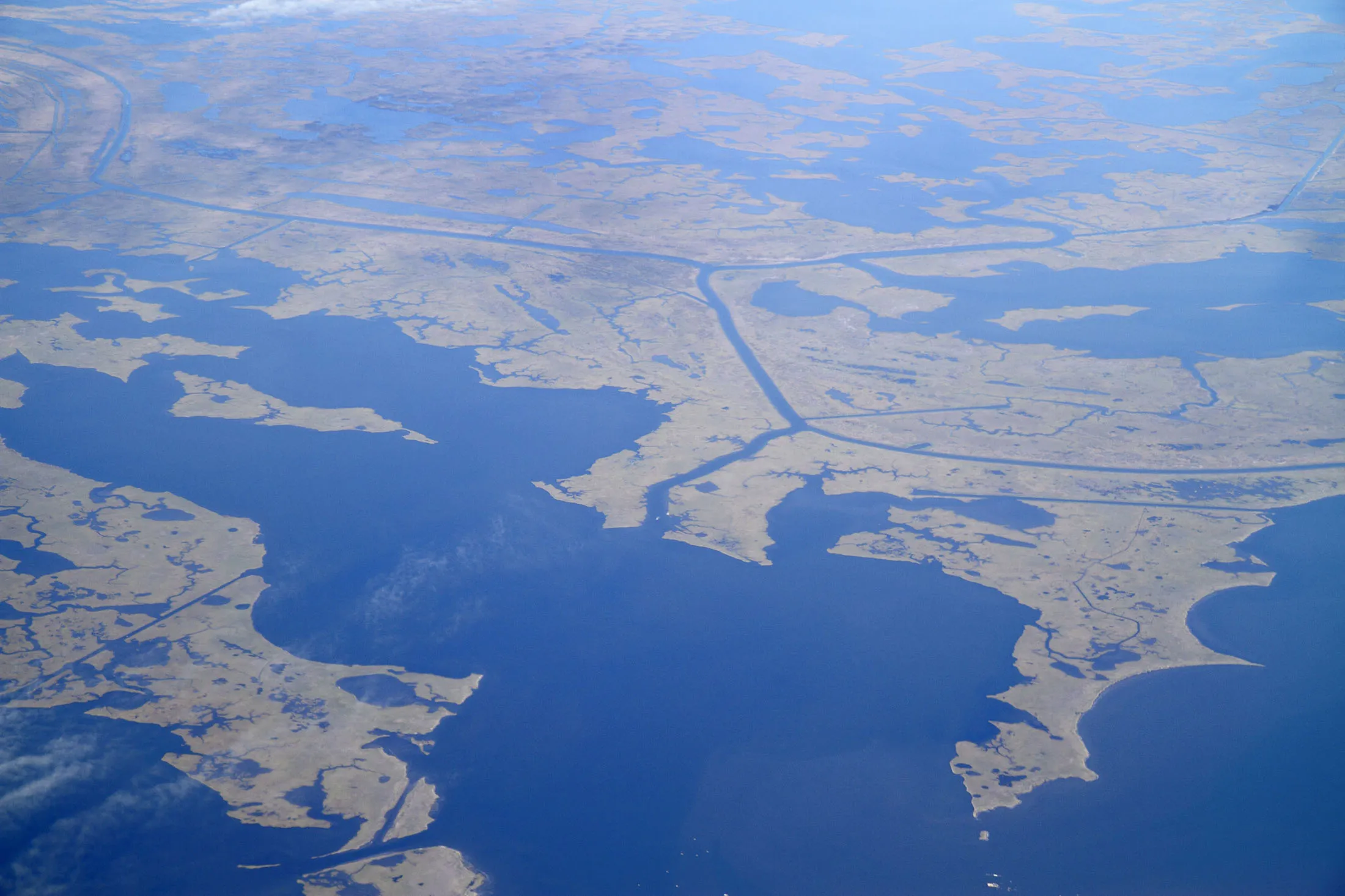 The Mississippi River Delta. 