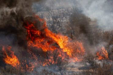 Canyon Fire Explodes On Ventura-Los Angeles County Border