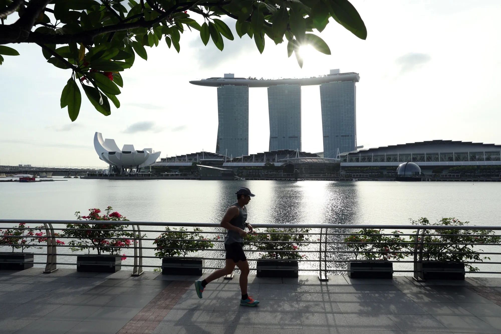Singapore domestic tax law allows a company, including a local subsidiary of a foreign corporation, to deduct interest payments on debt from their taxable income in the nation state.