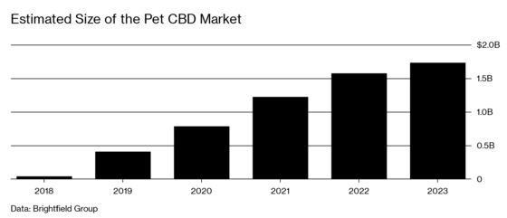 The CBD Industry Is Betting That Pets Need to Chill, Too