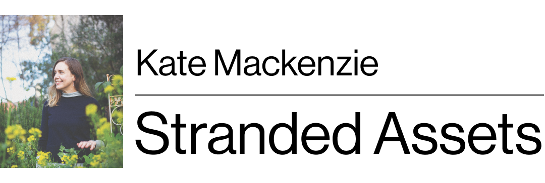 Kate Mackenzie's Stranded Assets