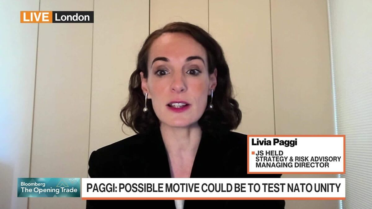 Russian Drones Could Be to Test NATO Unity: Paggi