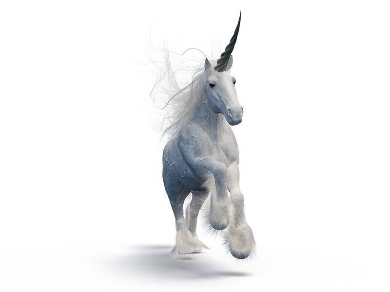 relates to There Are Now 1,000 Unicorn Startups Worth $1 Billion or More