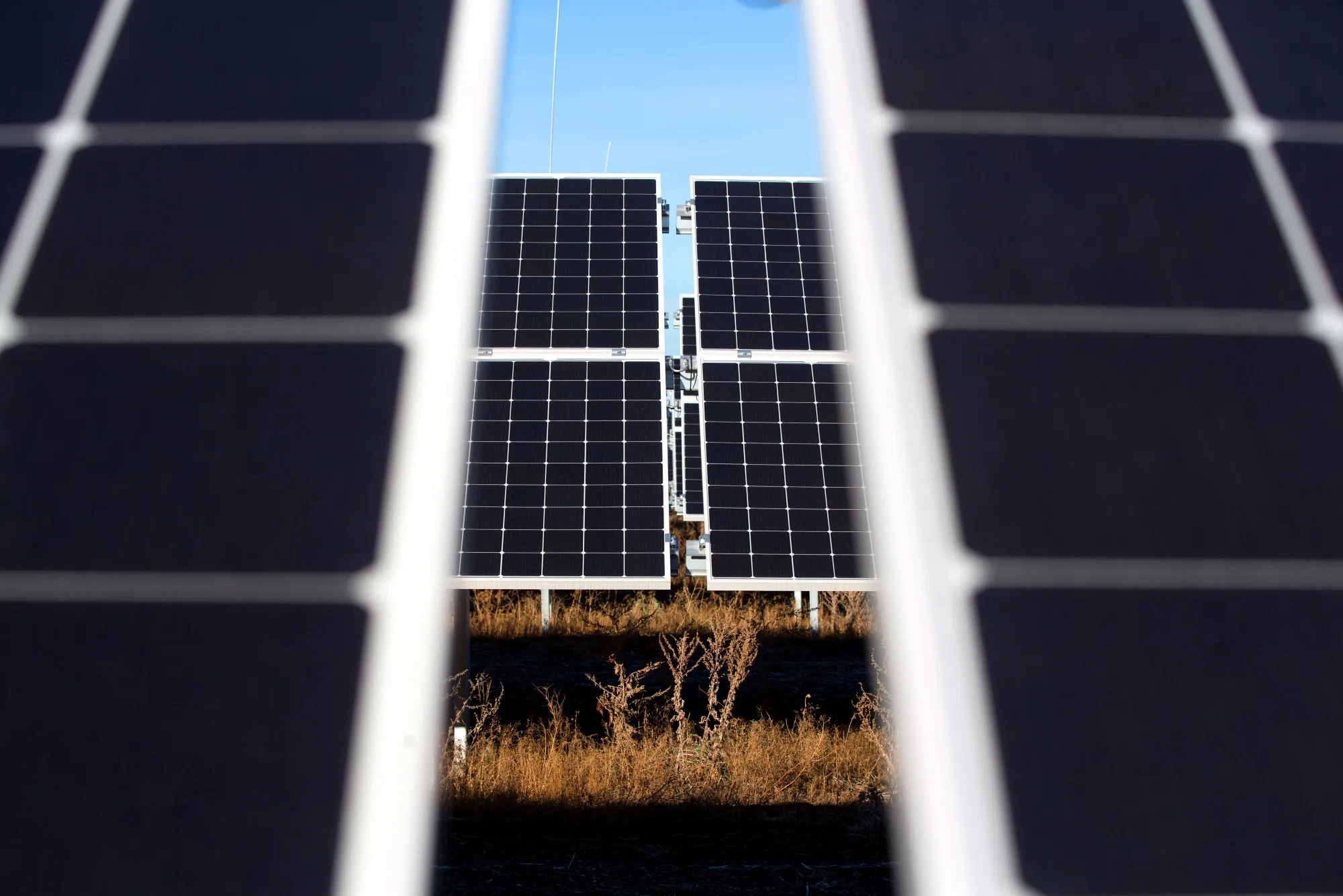 Opening Of Renova Group's T Plus Solar Park