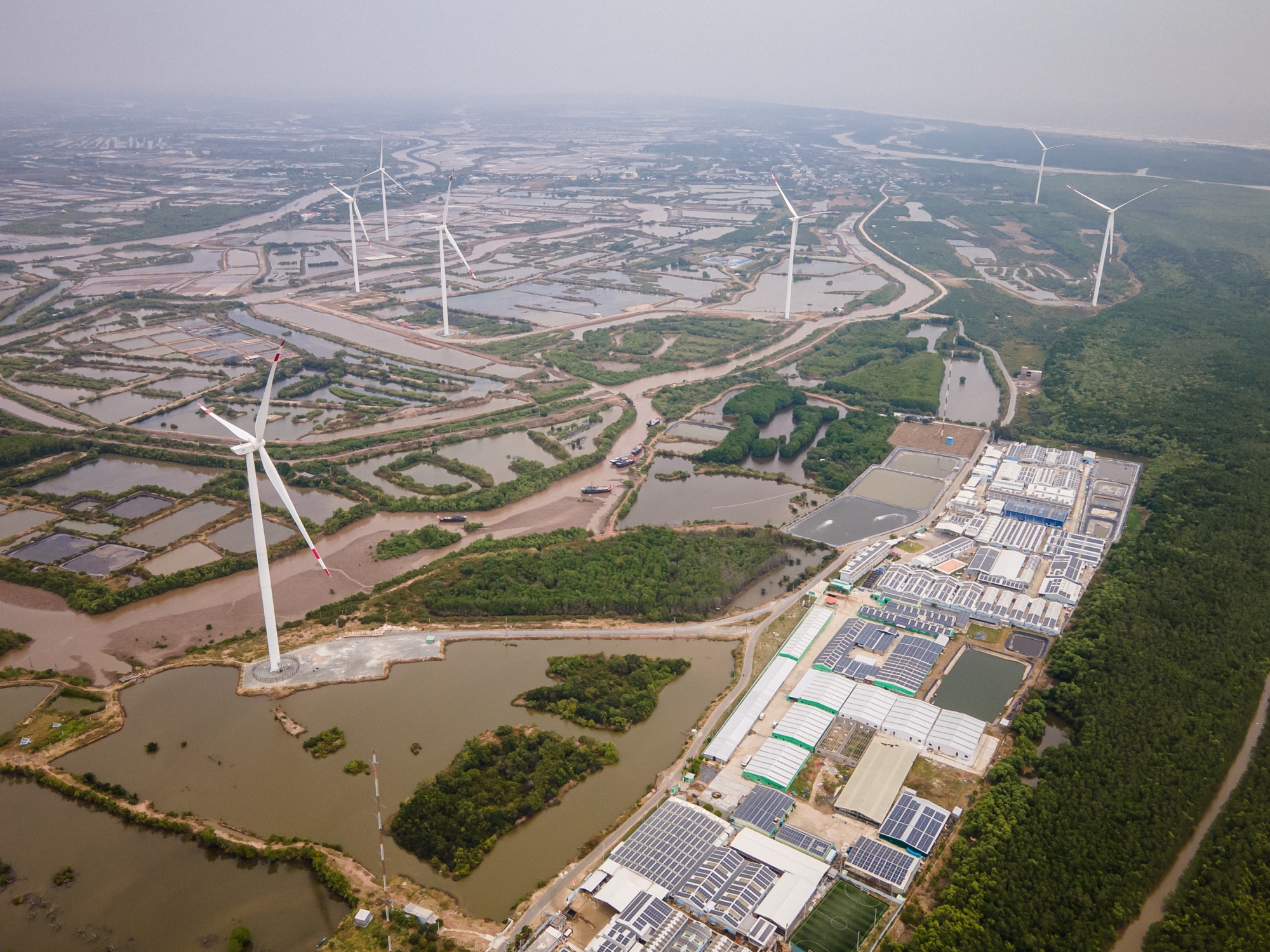 Enough Wind Power for a Major City Snarled Vietnam Campaign -