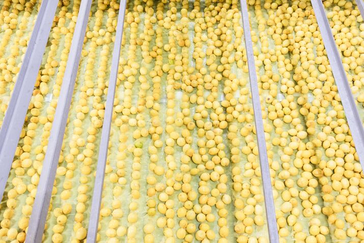 Chick-fil-A’s Lemon-Squeezing Robots Are Saving 10,000 Hours of Work