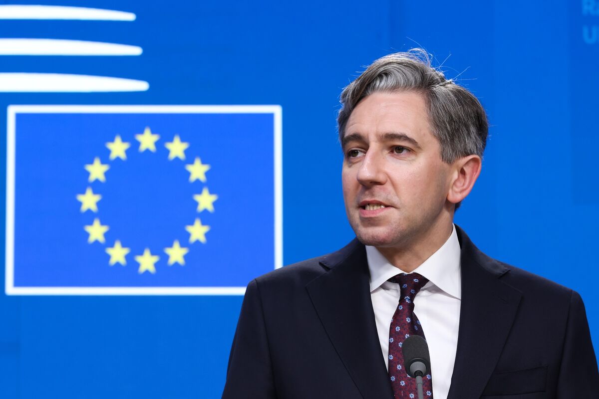 Global Agency on AI Would Be Useful, Ireland’s Harris Says