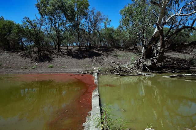Turbid water in the Namoi River at Walgett, NSW, in December. Many people in the remote town drink only bottled water.