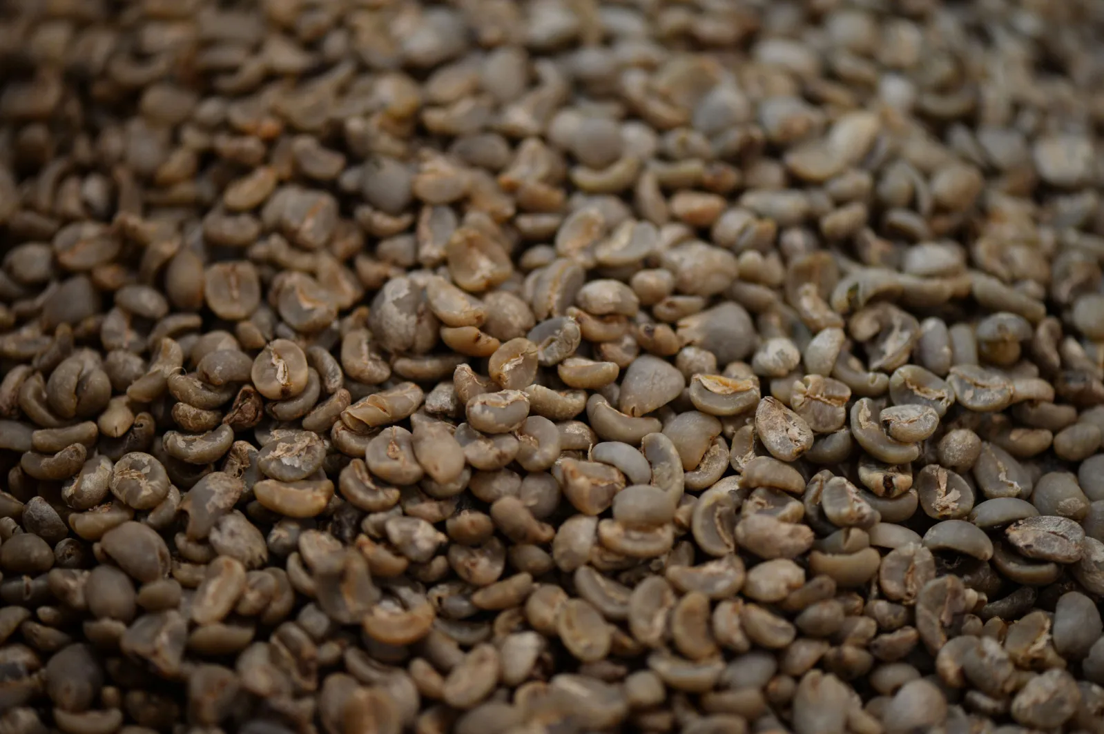 Coffee beans sit in a container at a PT Taman Delta Indonesia facility in Semarang, Java, Indonesia, on Thursday, March 12, 2015. Smaller crops in Vietnam, Brazil and Indonesia may push up London futures by 19 percent to $2,300 a ton in the second quarter, a level last seen in 2011, according to Rabobank International.