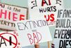 Why the AI Backlash Is Only Going to Get Worse