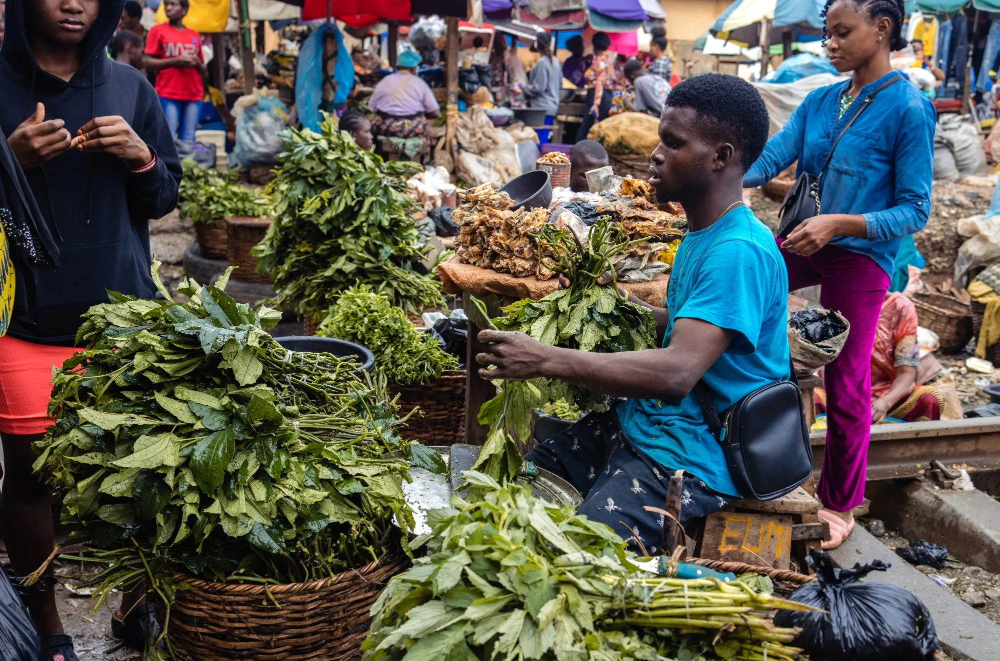 IMF Sees 2024 Sub-Saharan Africa GDP Growth Rebounding - Bloomberg