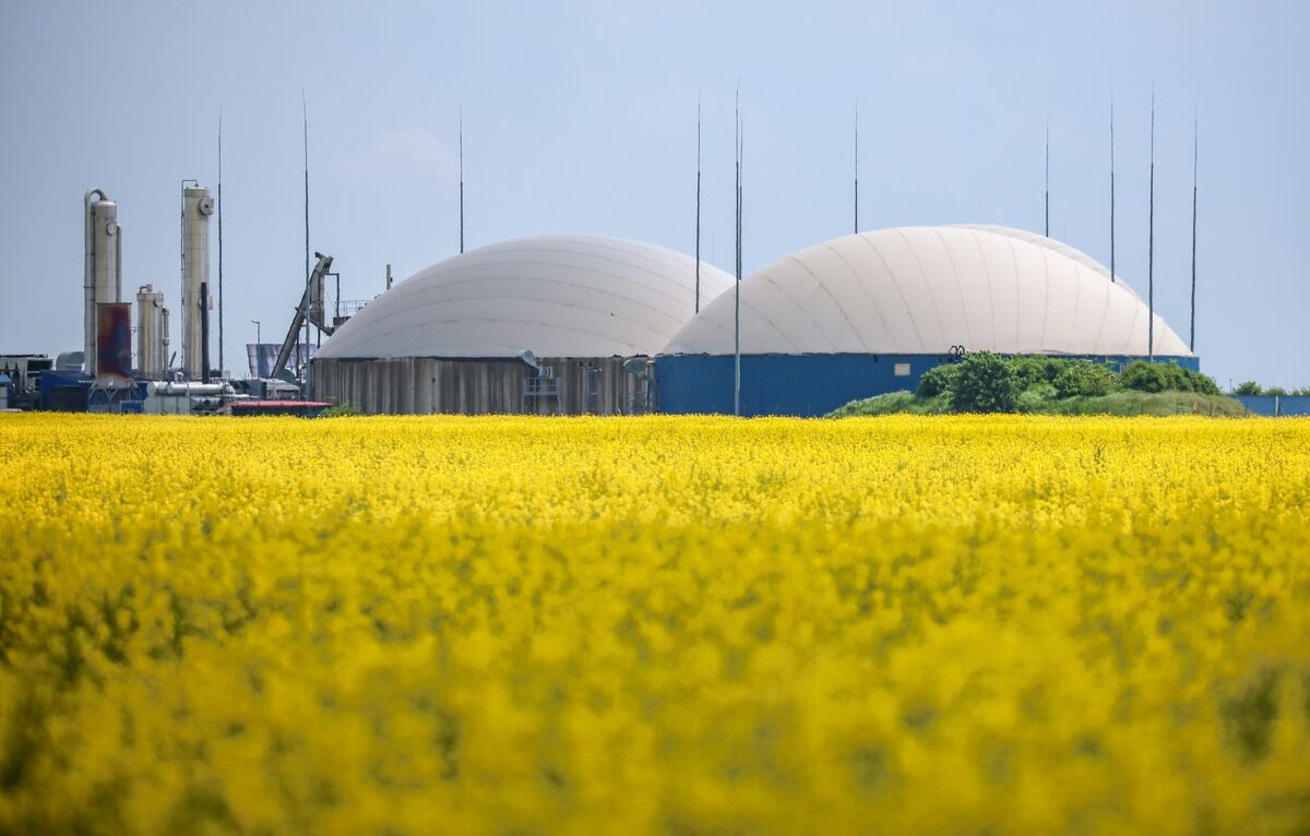 Europe Wants Permanent Gas Buyers Club for Post-Russia Strategy - Vimarsana News