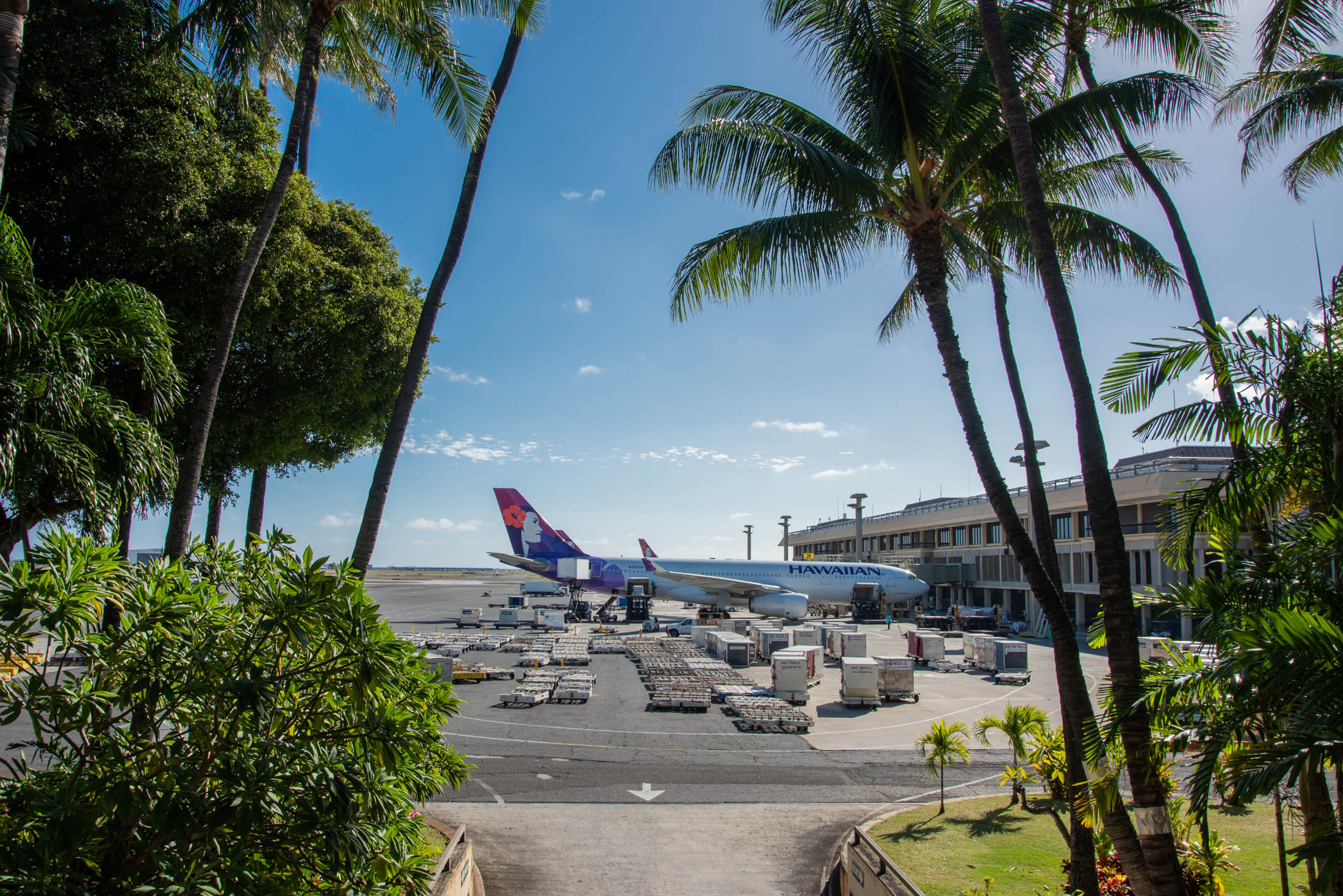 250 Hawaii Grass Skirt Stock Photos, High-Res Pictures, and Images - Getty  Images