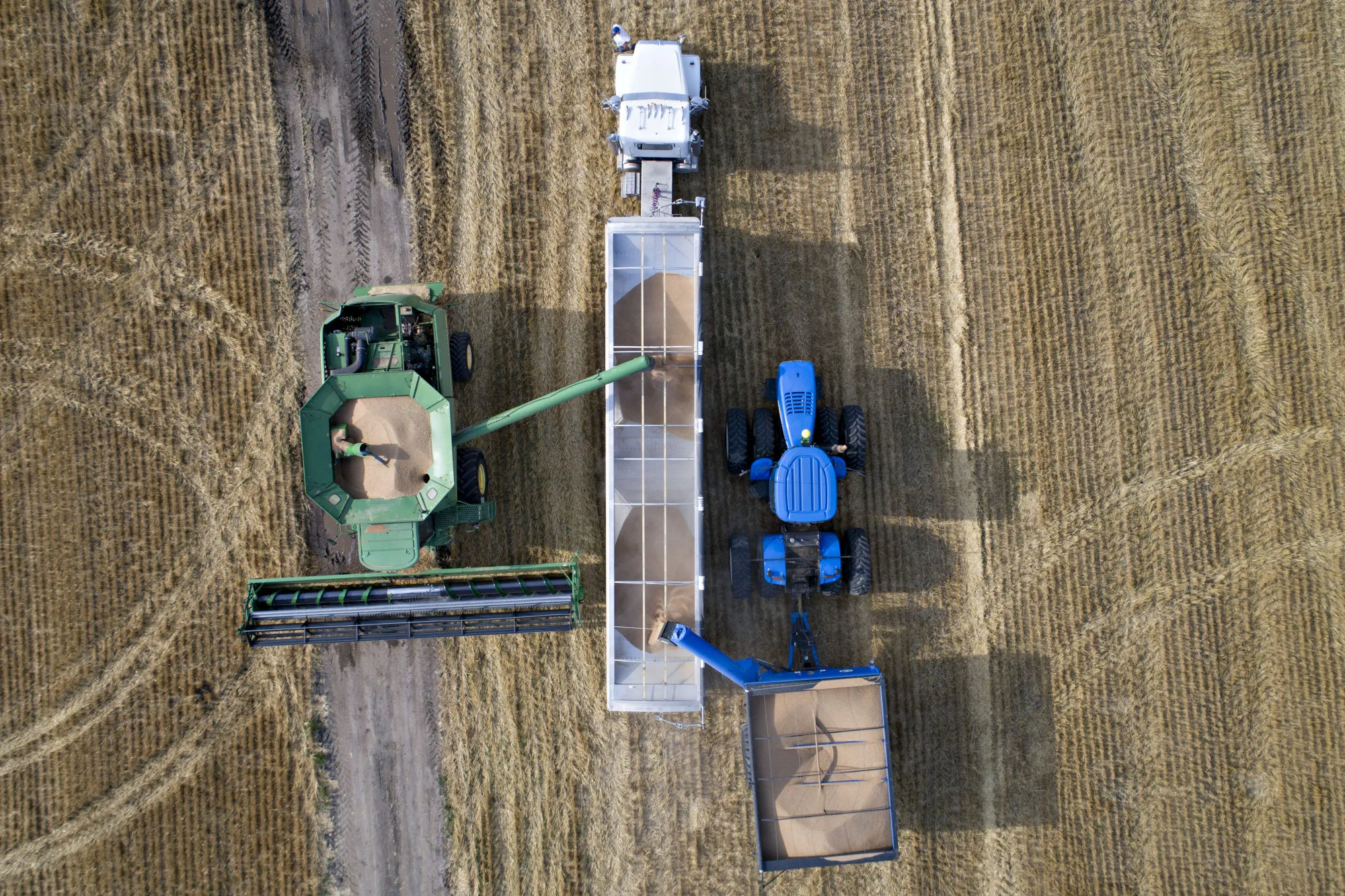 Hard red winter wheat is unloaded from a combine harvester in this aerial photograph taken above Kansas, U.S.