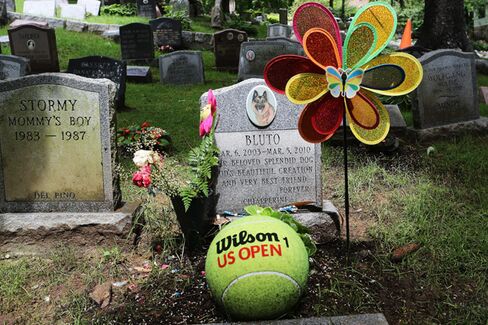 There's Never Been a Better Time to Be a Dead Pet