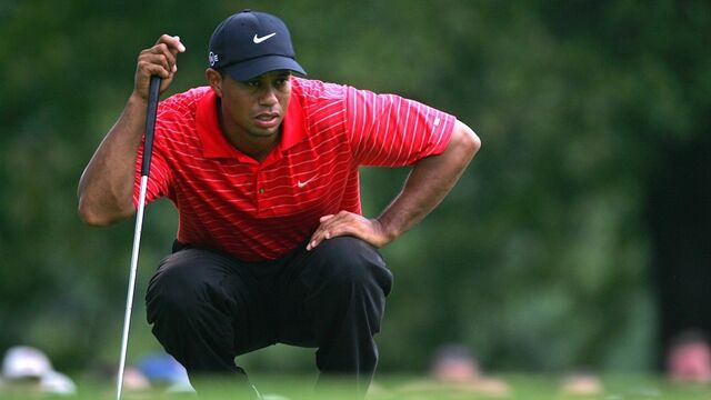 希少 美品 NIKEGOLF タイガーウッズコレクション ニット タイガー