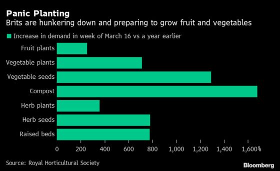 Empty Store Shelves Spur Brits to Grow Their Own Vegetables