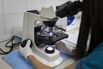 Testing For Zika Virus At A Venezuelan Health Clinic