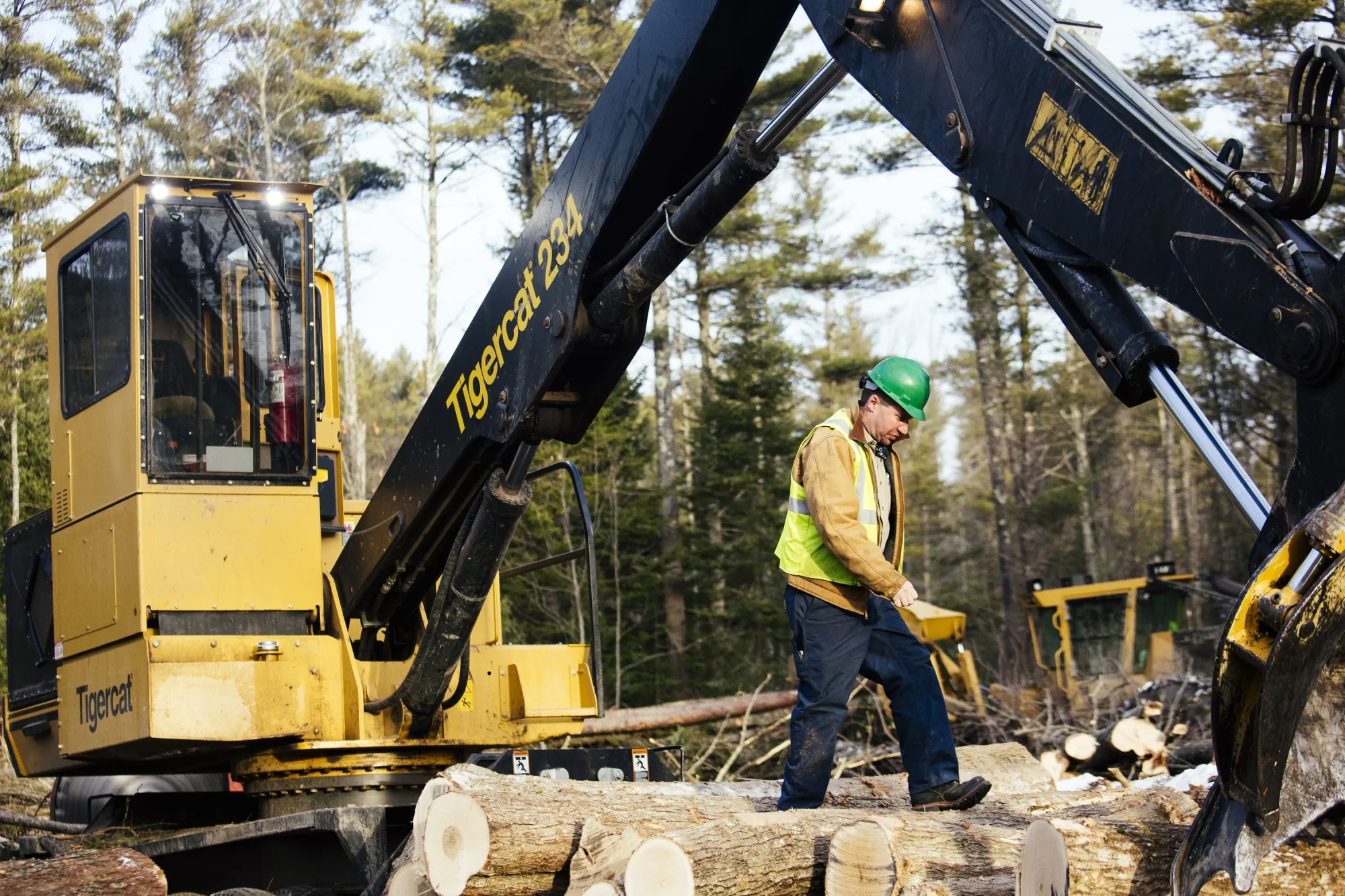A logger walks along stacked logs after feeding wood into a chipper to be sent as biomass fuel to ReEnergy in Brunswick, Maine.