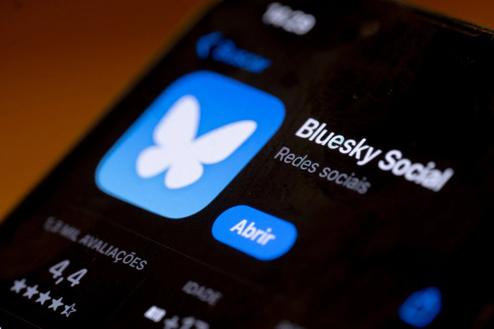 The Bluesky app.