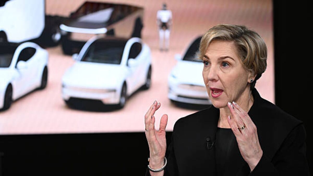 Tesla Chair on Musk's Pay, Succession Plans, Politics