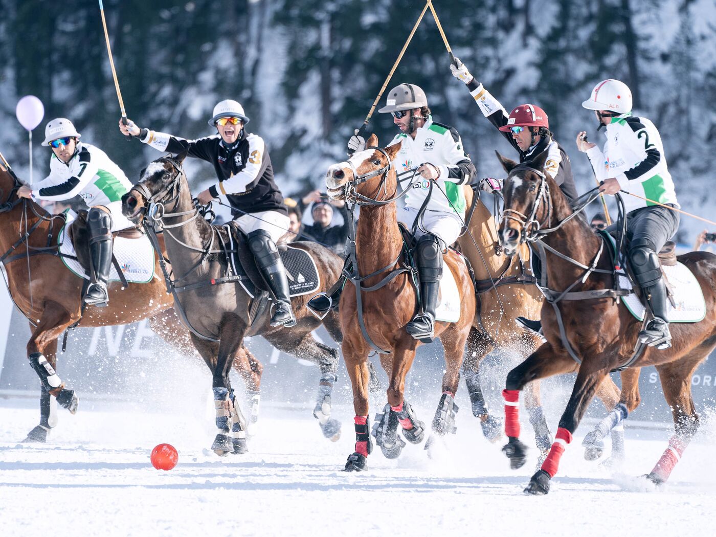 Snow Polo - St. Morritz