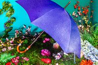 relates to The Case for a $1,200 Umbrella