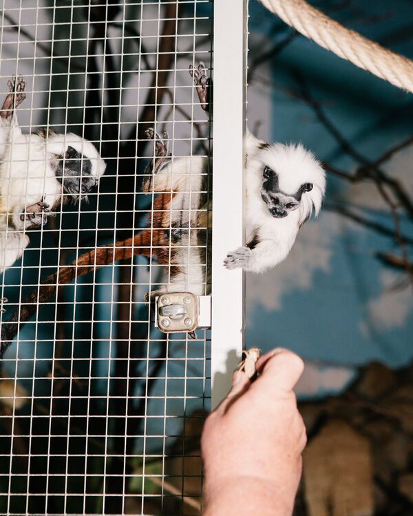 The World\'s Biggest Pet Store Has 250,000 Animals - Bloomberg The World\'s Biggest Pet Store Has 250,000 Animals - Bloomberg