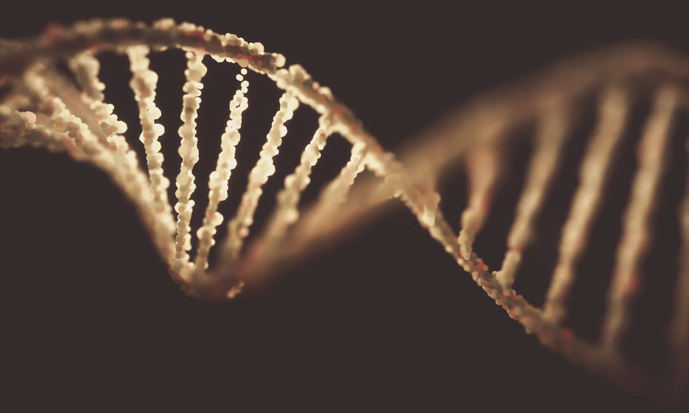DNA structure, illustration