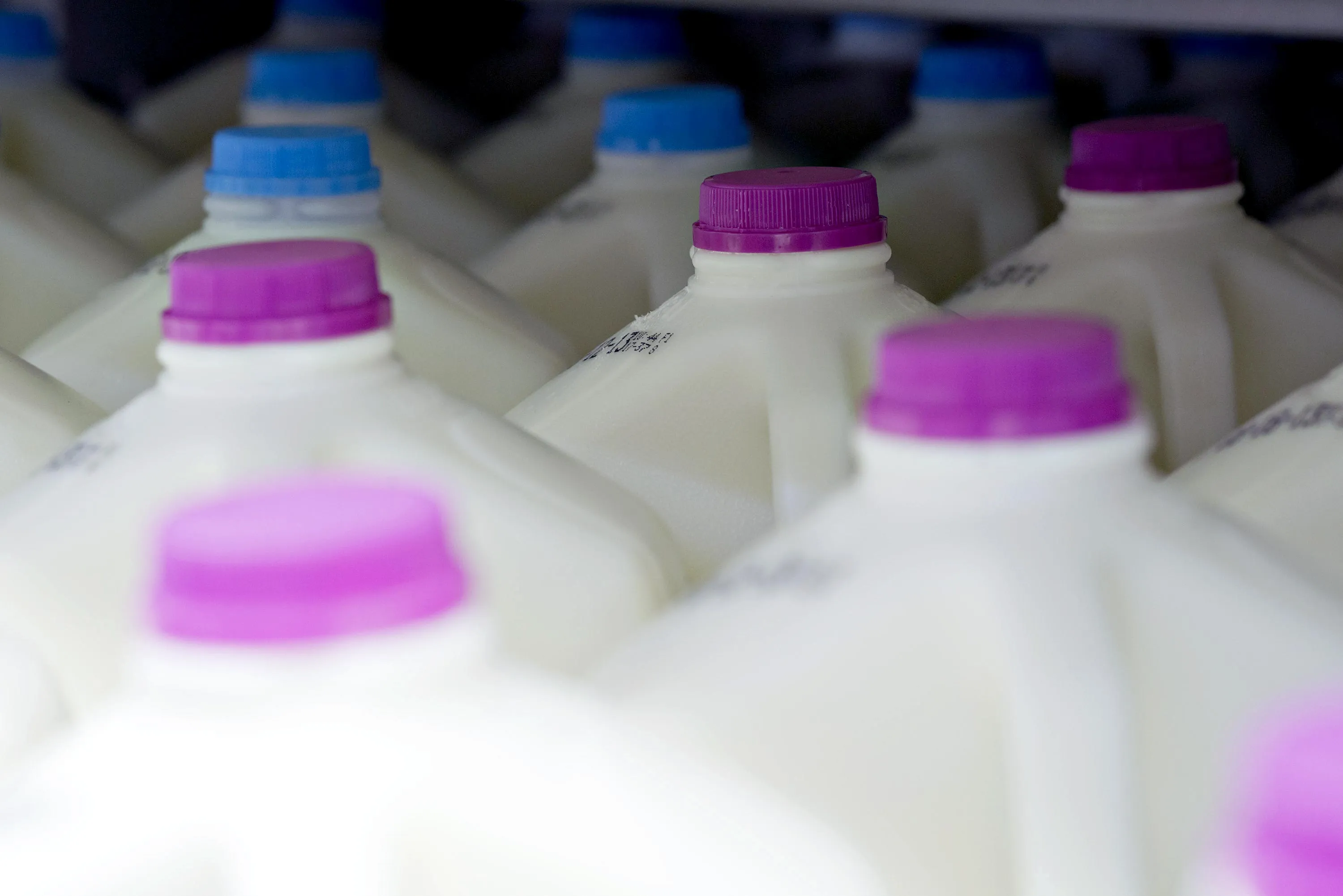 Milk Generic STX