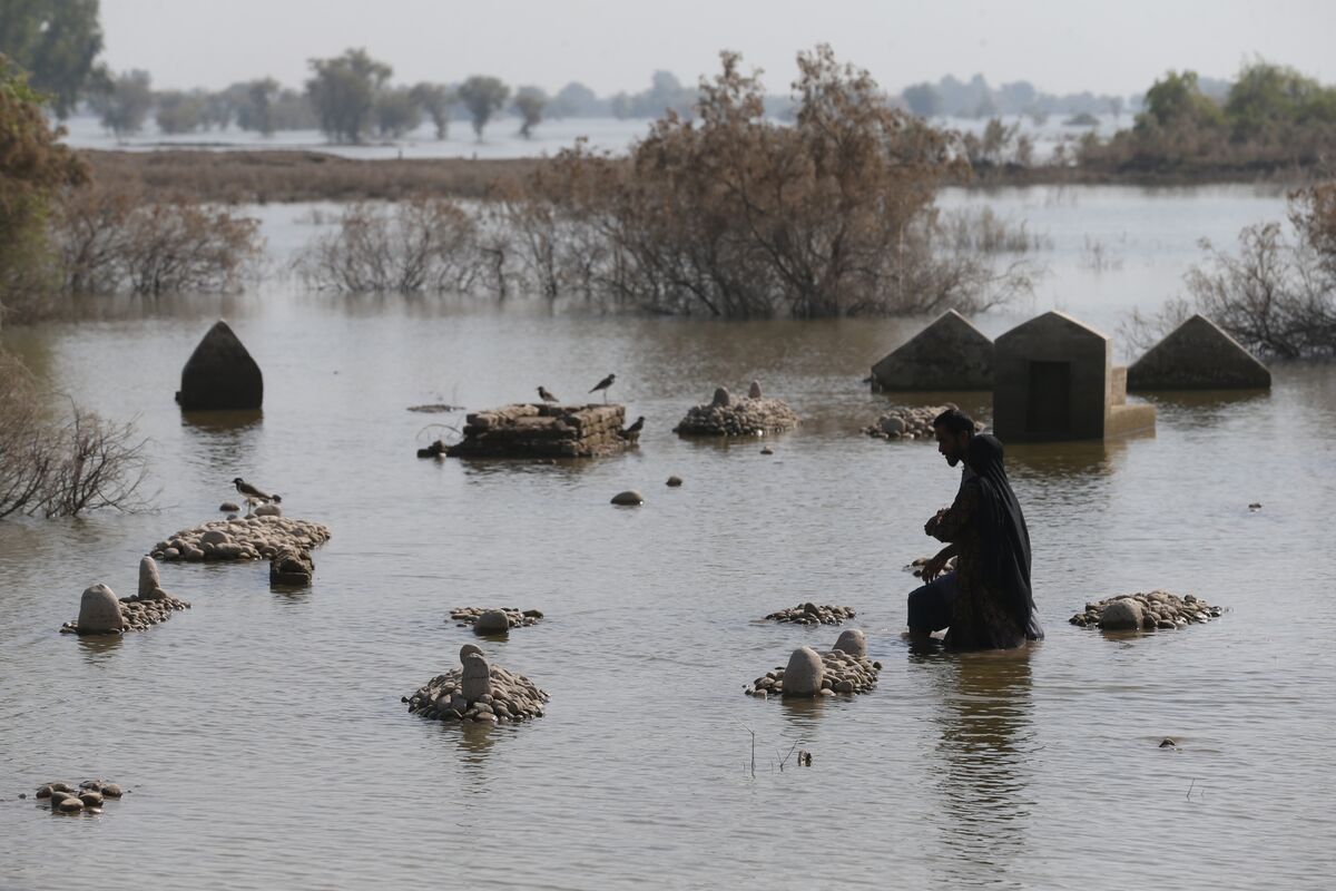 После потопа after the flood. После потопа after the flood