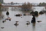 Flood in Pakistan's Sindh