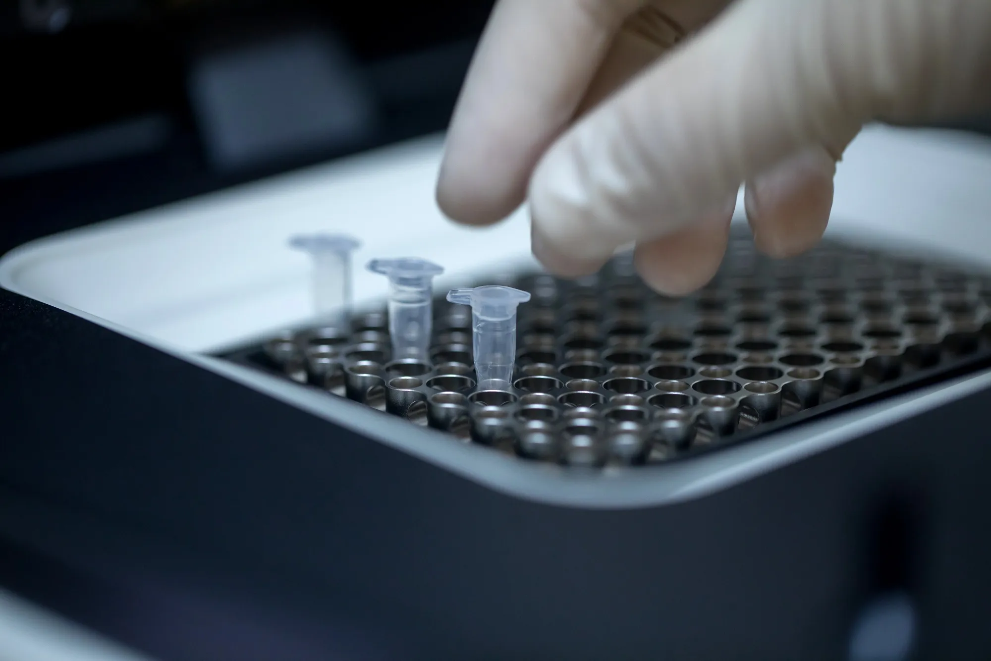 DNA Testing At The Gene Discovery Lab