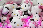 Sanrio Co. Hello Kitty soft toys.