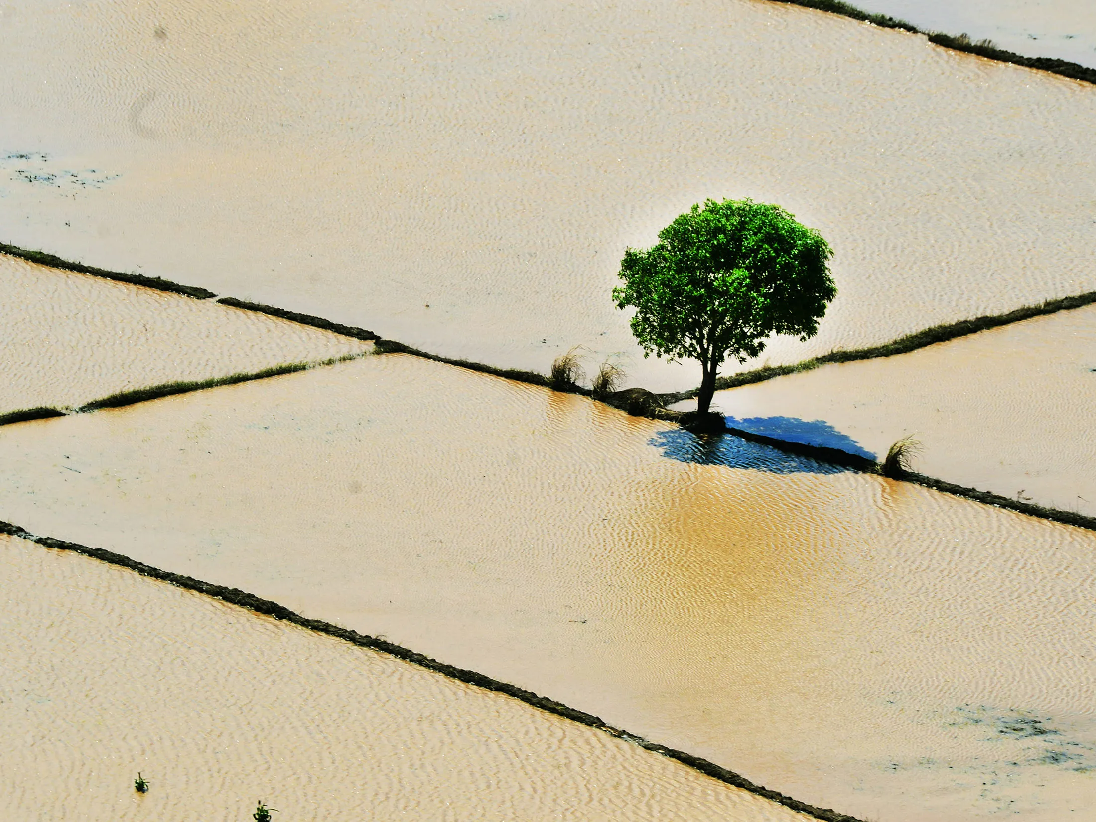 The flooded Maganja da Costa district in Mozambique on Jan, 21, 2015. Mozambique’s National Institute for Disaster Management blames climate change for the worsening floods, which this year wiped out crops and left tens of thousands homeless.
