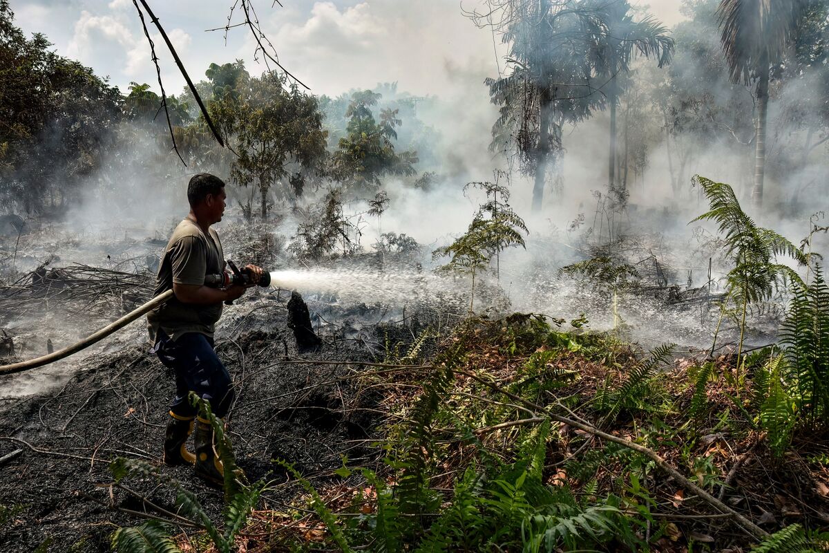 Haze Returns to Southeast Asia as Indonesia’s Forests Burn