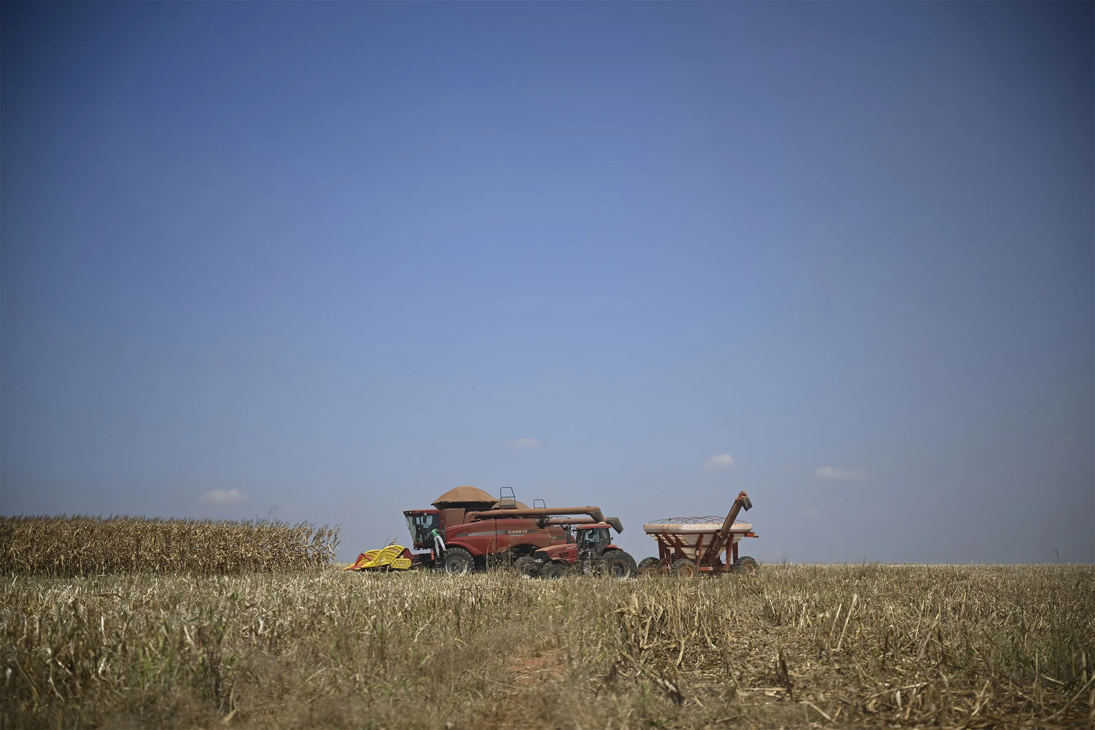 A corn harvest in Brasilia, Brazil, in August.