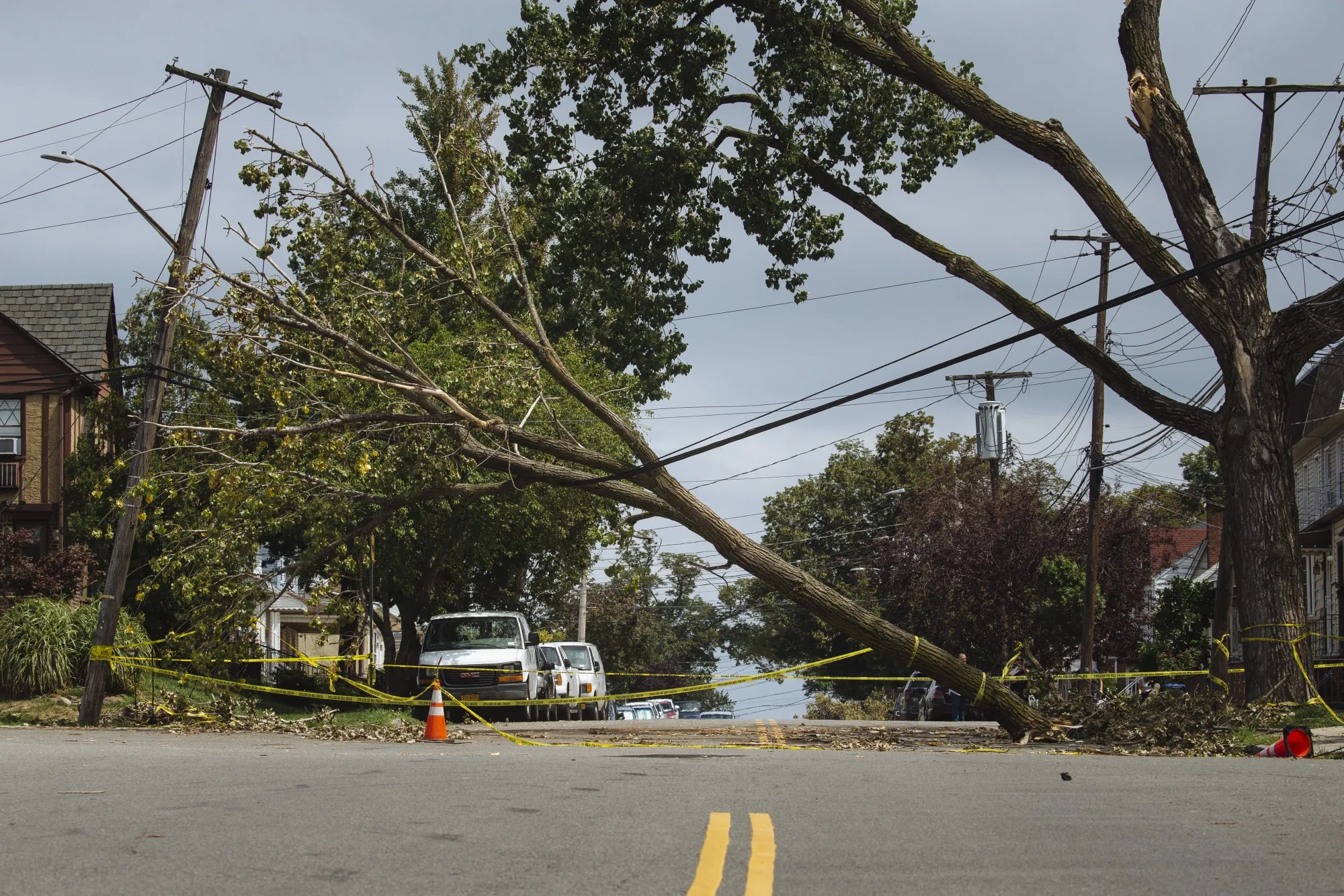 A fallen tree rests on a power line in Queens, New York, on Aug. 7.