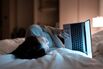  RF - Work Home WFH Remote Night