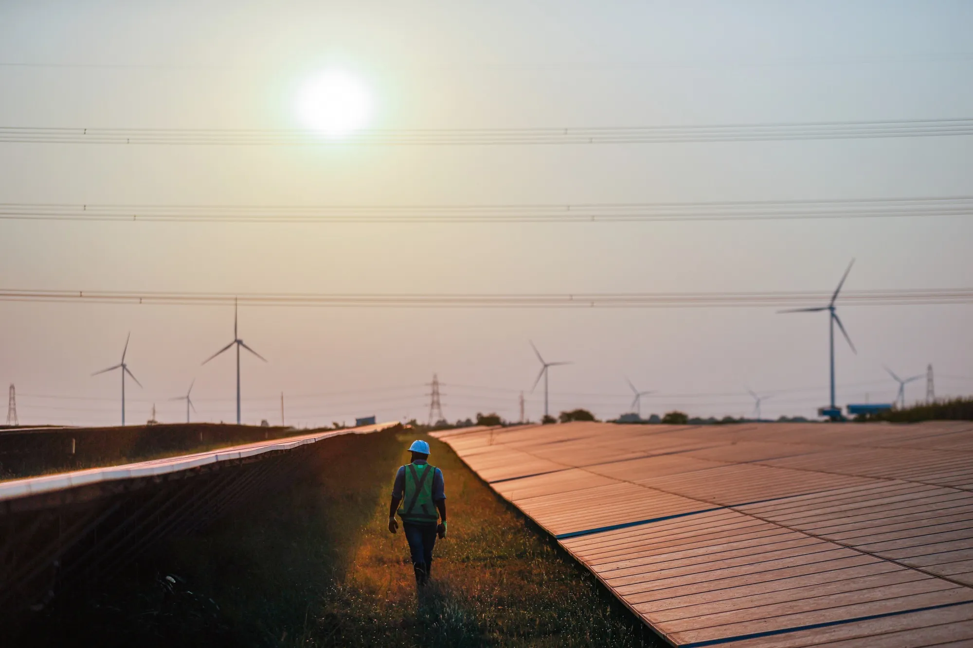 A worker at a solar power plant in India.
