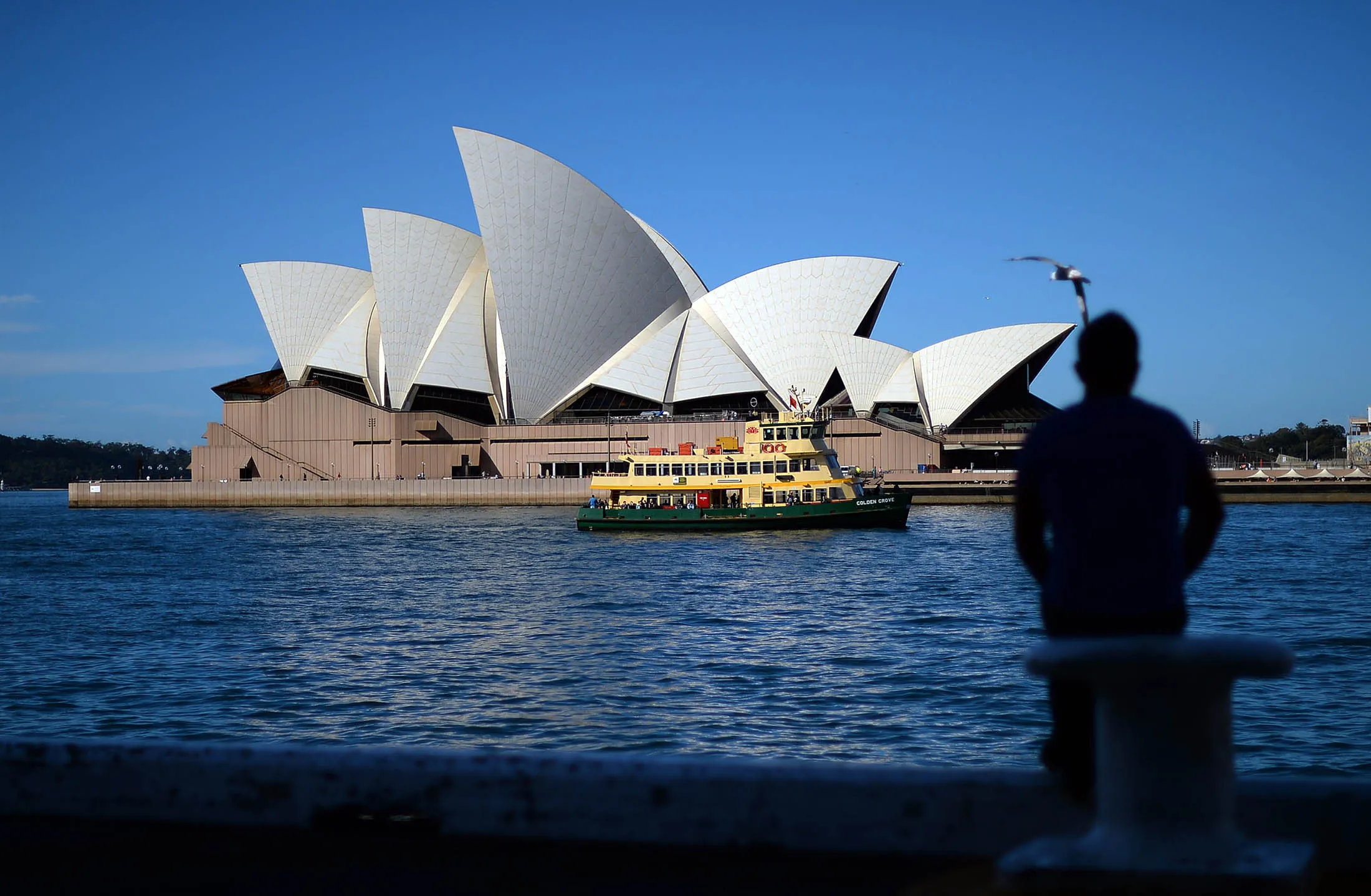 A man relaxes opposite the Sydney Opera House on May 13, 2014. The latest IMF forecast has the Australian economy growing at 2.6 percent in 2014, down from previous expectations of 2.8 percent. AFP PHOTO / Saeed KHAN (Photo credit should read SAEED KHAN/AFP/Getty Images)

