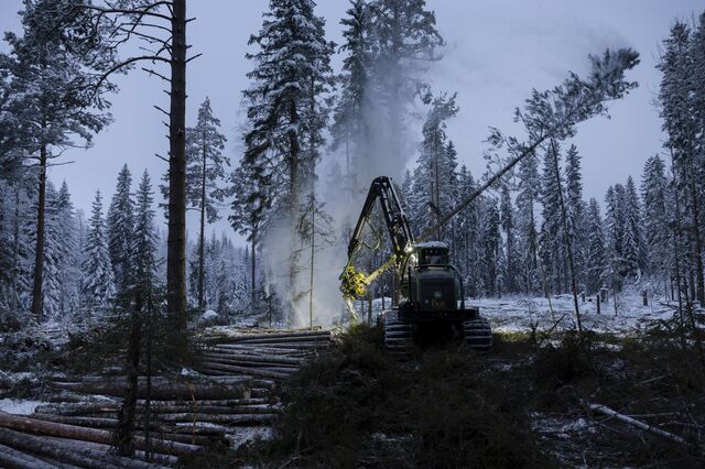 A harvester felling trees for SCA AB in Langskog outside of Sundsvall, Sweden, on Jan. 23.